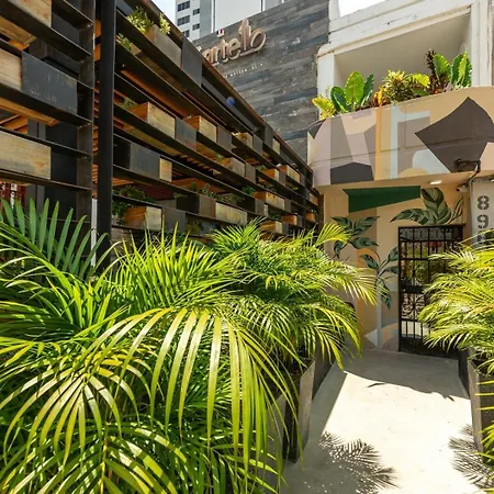 Apartamento Mare #205 - Bocagrande